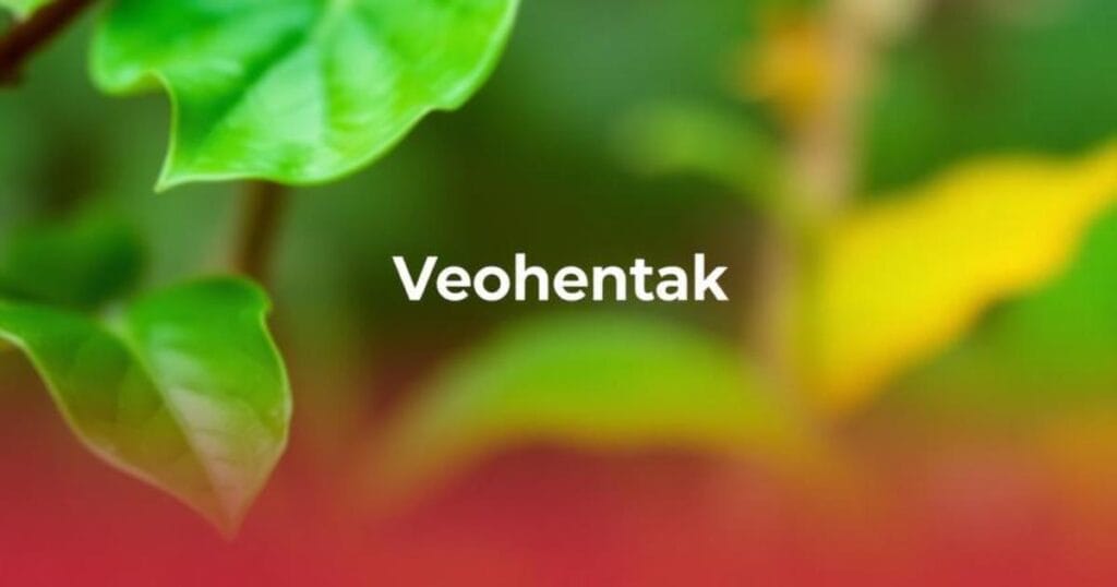 veohentak
