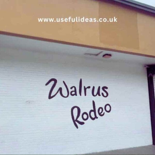 walrus rodeo